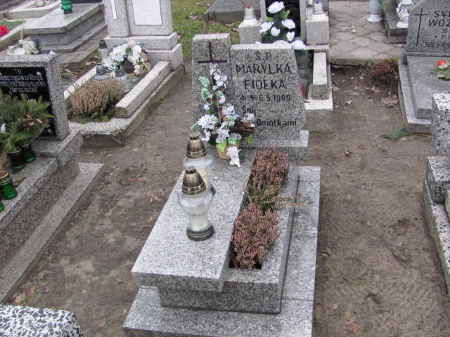 Grób Maryla Fiołka