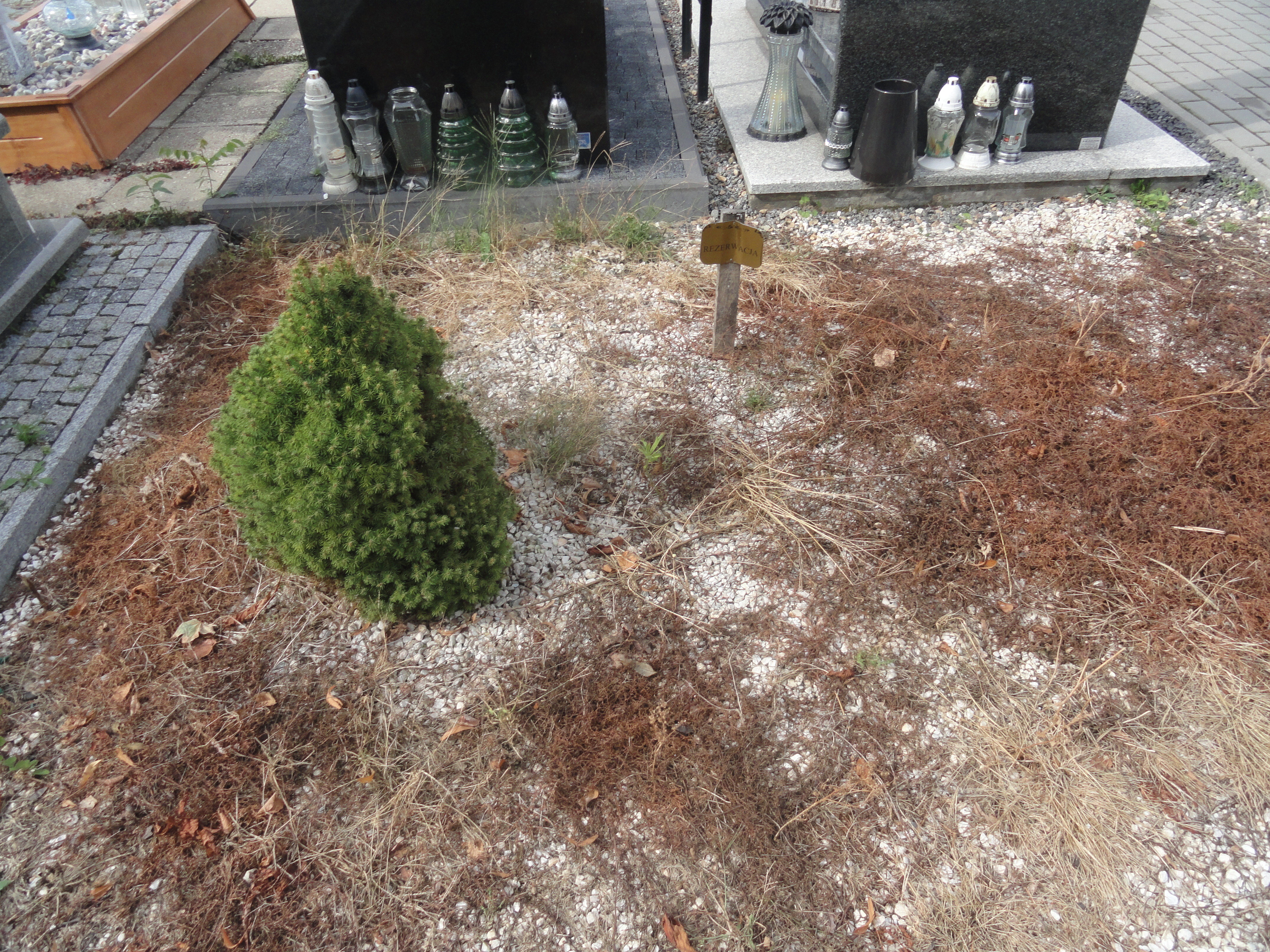  Rezerwacja Kępno - Grobonet - Wyszukiwarka osób pochowanych